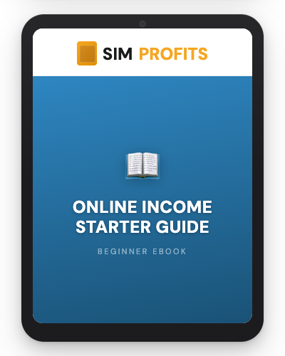 Online Income Starter Guide